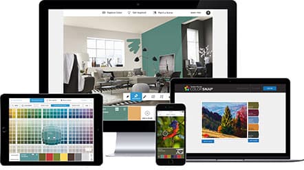 Software Development Services